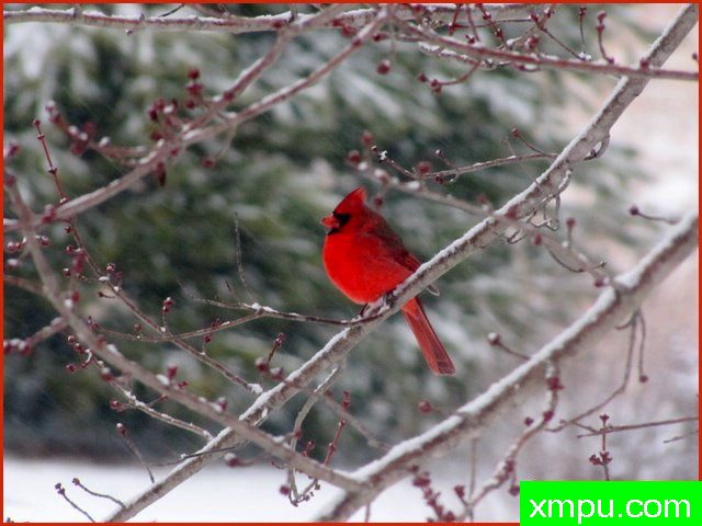 枢机坐在肢体---著名摄影师：帕齐邓恩摄影