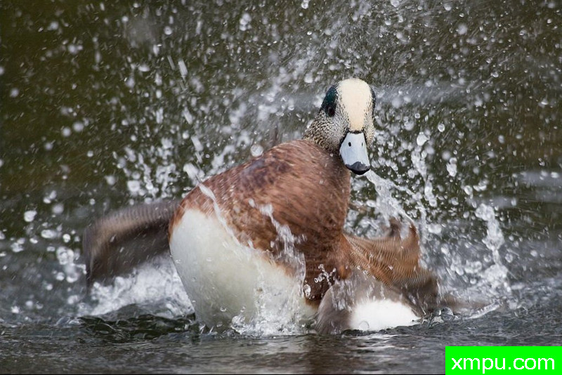 造水花--著名自然摄影师：肯阿彻摄影