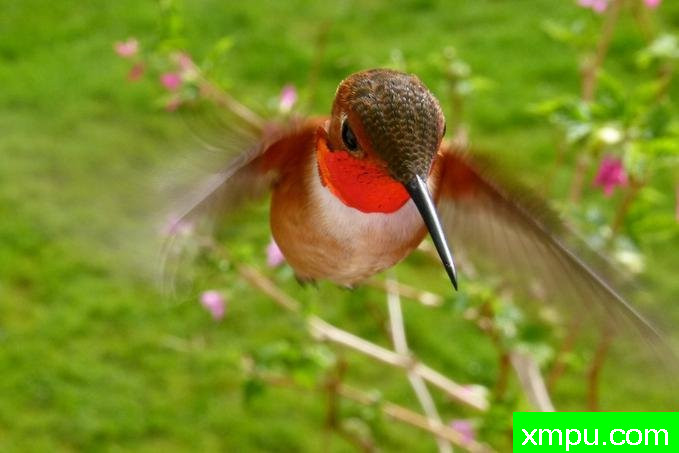 美人！---著名摄影师：珍妮李显能摄影