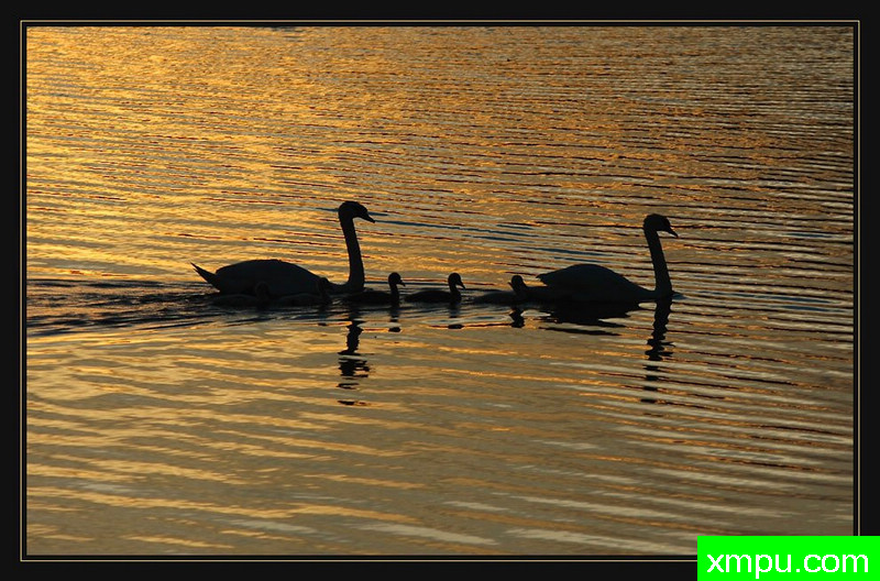 家庭游---摄影师：迪特尔Biskamp摄影