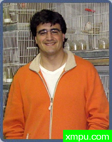 金丝雀---意大利三色金丝雀冠军