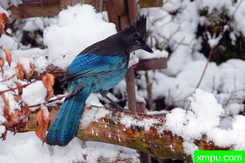 “周杰伦”---著名摄影师：珍妮李显能摄影