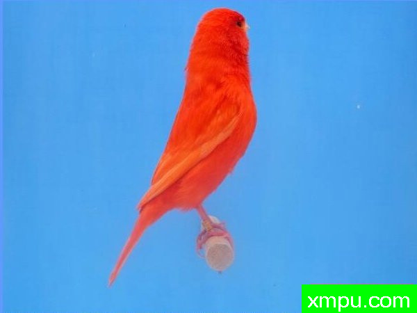 联合国珀蒂行政法院喝采---著名摄影师：盖伊摄影[法国]