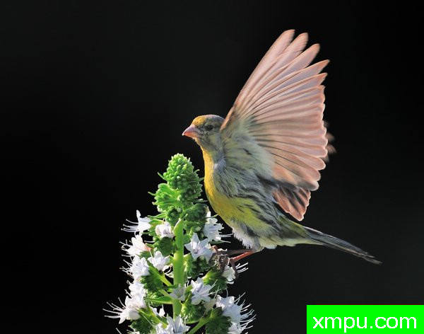 到达--摄影培育师：何塞米格尔罗德里格斯摄影[法国]