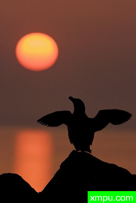 拉佐比尔在夕阳---摄影师：爱德华兹摄影