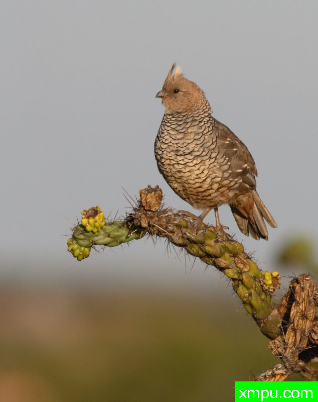 德克萨斯州支线---摄影师：巴里河伯德摄影