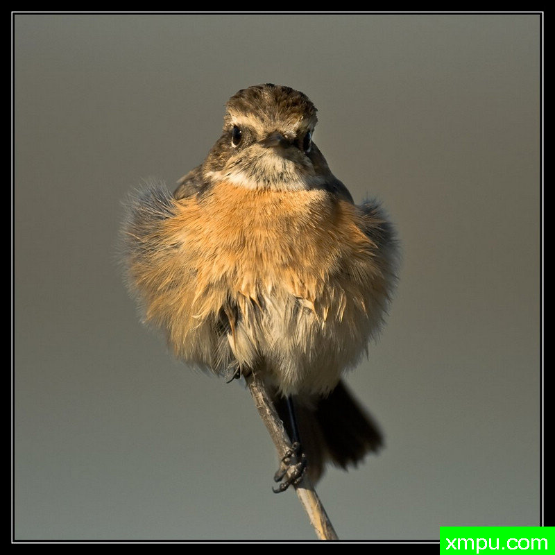 因此，我似乎更加大---摄影师： Giangiorgio Crisponi摄影