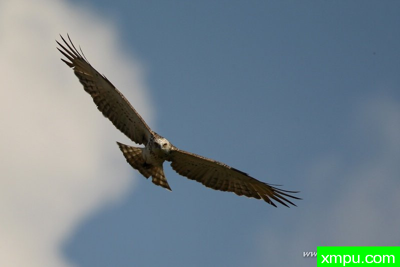 巡---著名摄影师：Cezar摄影