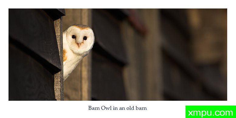 看一眼---摄影师： 丹尼绿色摄影