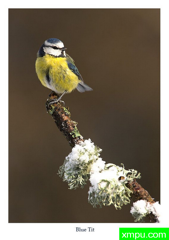 真暖和---摄影师： 丹尼绿色摄影
