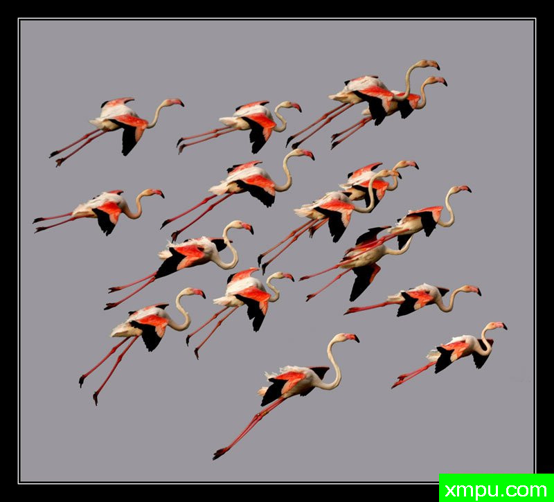 同步芭蕾舞团[撒丁岛] ---摄影师： Giangiorgio Crisponi摄影