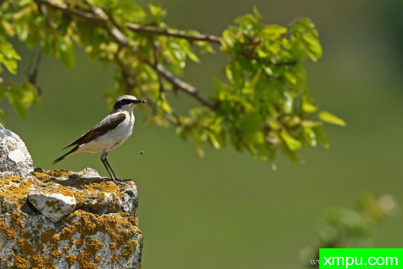 Białorzytka--著名摄影师：Cezar摄影