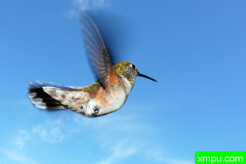 再见！---著名摄影师：珍妮李显能摄影