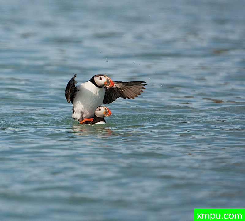 游戏而已--[加拿大 ]-著名摄影师：Send private message 摄影