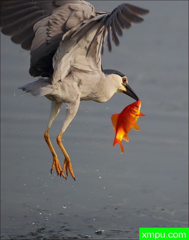 被迫接吻-著名摄影师：自由风bj.摄影