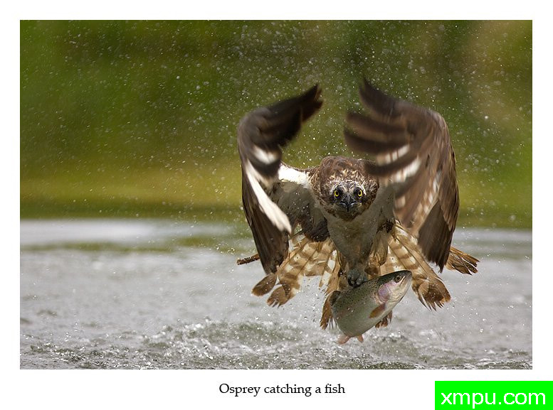 出水之后---摄影师： 丹尼绿色摄影