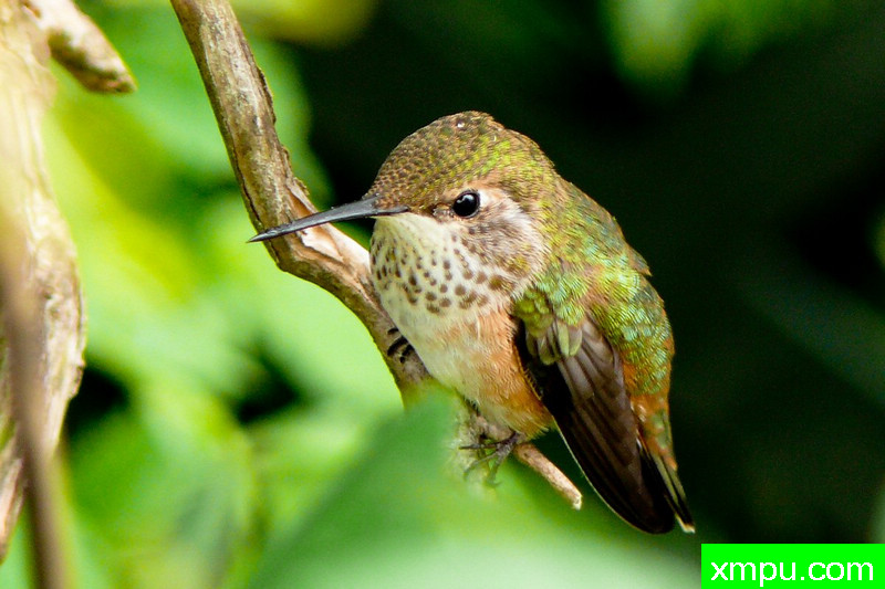 犹豫不决，周围！---著名摄影师：珍妮李显能摄影