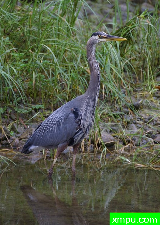 不列颠哥伦比亚 泽巴勒斯02 [加拿大 ]-著名摄影师：aussie_camer