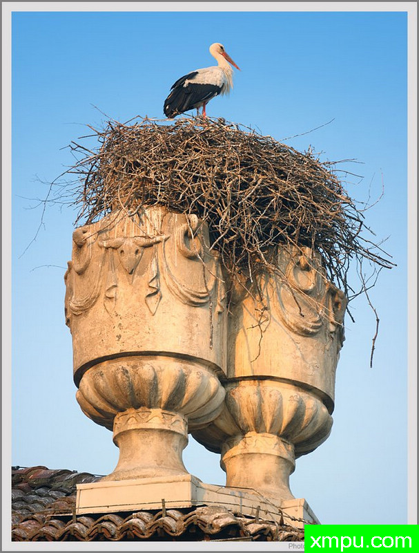 温迪---摄影师：保罗德Faveri特摄影