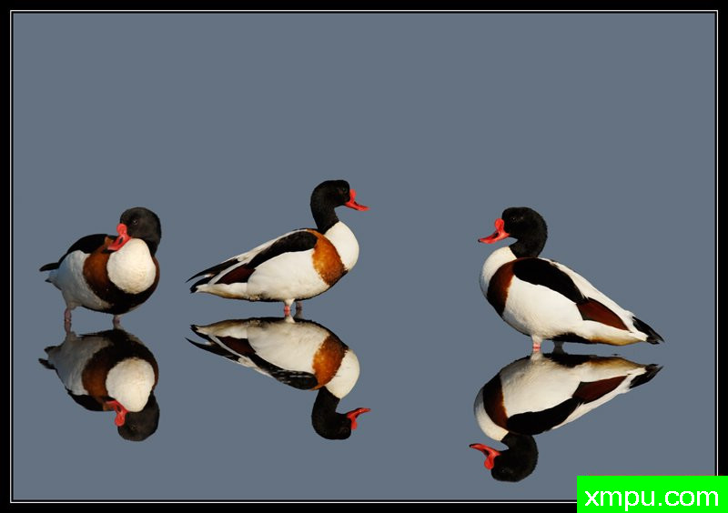 反思[撒丁岛] ---摄影师： Giangiorgio Crisponi摄影