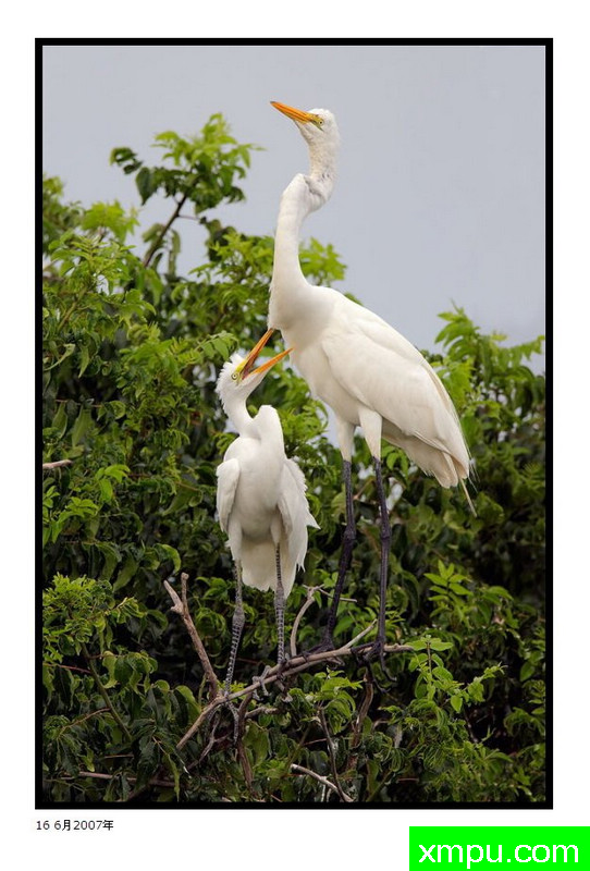 乞丐照片 - 大卫肖万张照片pbase_com