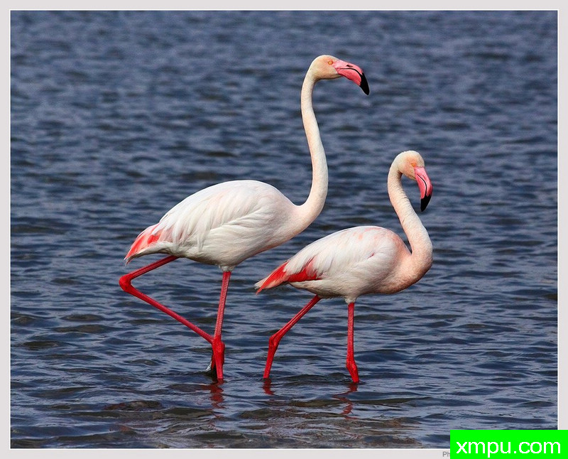 刚结婚---摄影师：保罗德Faveri特摄影