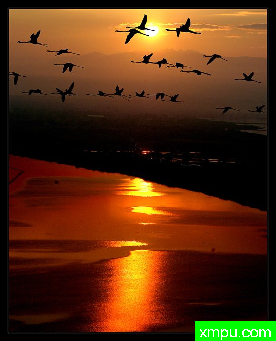 香格里拉[撒丁岛] ---摄影师： Giangiorgio Crisponi摄影