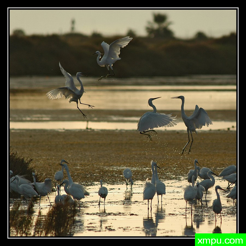 对练---摄影师： Giangiorgio Crisponi摄影