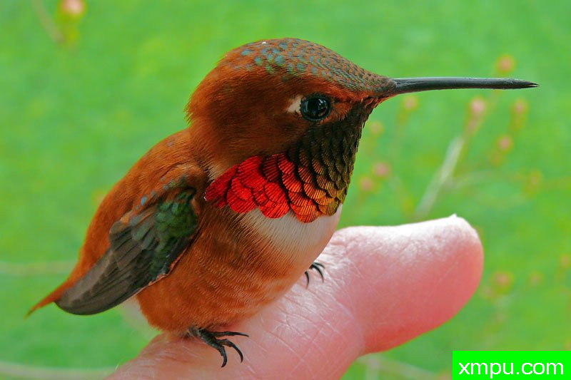 安全感！---著名摄影师：珍妮李显能摄影