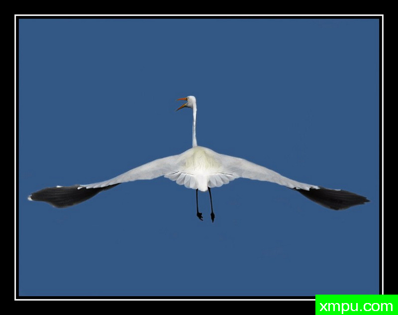 皮瓣下---摄影师： Giangiorgio Crisponi摄影