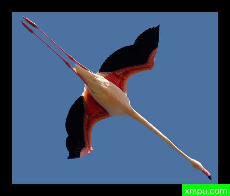 优越对角线[撒丁岛] ---摄影师： Giangiorgio Crisponi摄影