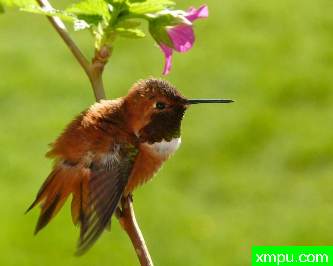 刚刚休息！---著名摄影师：珍妮李显能摄影