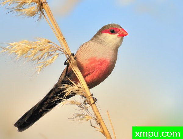 出色的色彩---著名摄影师：何塞米格尔罗德里格斯摄影