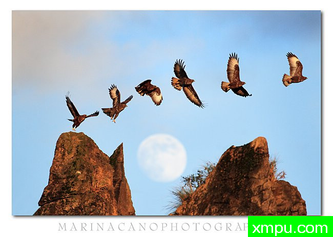 带我飞向月球，第拉法--著名自然摄影师：匡卡诺摄影