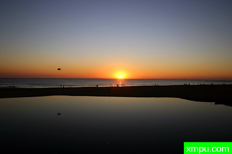 鹦鹉---摄影师：圣保罗Riskas摄影