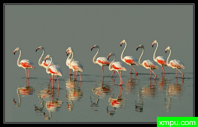 长廊---著名摄影师： Giangiorgio Crisponi摄影