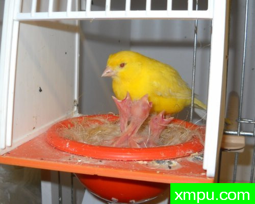 儿童07--摄影师：莱斯derniers德摄影[法国]