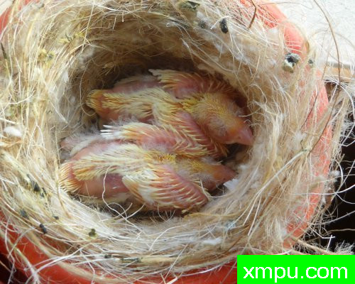 儿童07--摄影师：莱斯derniers德摄影[法国]