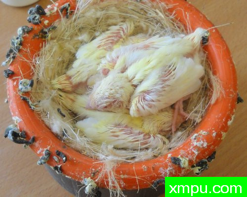 儿童07--摄影师：莱斯derniers德摄影[法国]