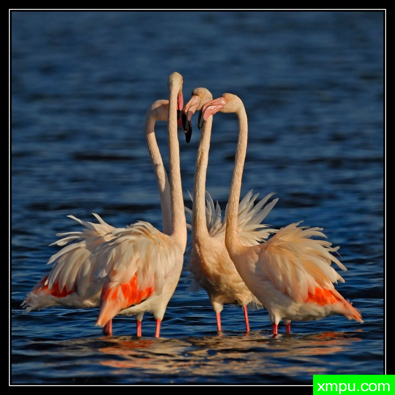 工作人员会议！---摄影师： Giangiorgio Crisponi摄影