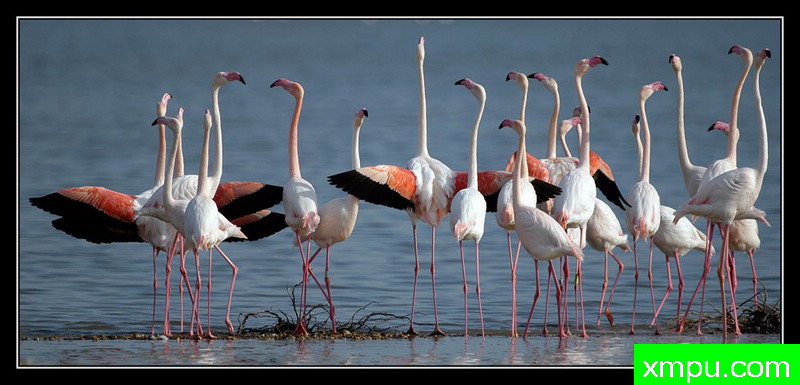 工作人员会议！01---摄影师： Giangiorgio Crisponi摄影