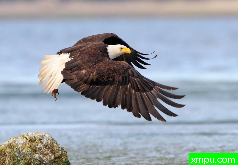 时间到了去钓鱼-著名摄影师：TMJ摄影[美国]