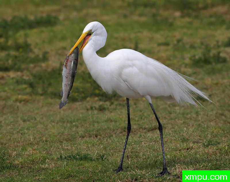 胜利者的微笑-著名摄影师：TMJ摄影[美国]