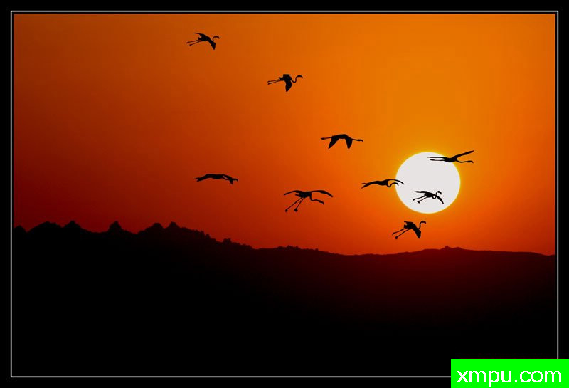 华丽 - 构图优美---著名摄影师： Giangiorgio Crisponi摄影