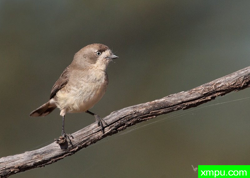 南怀特费斯 --著名荒野摄影师：杰拉德摄影