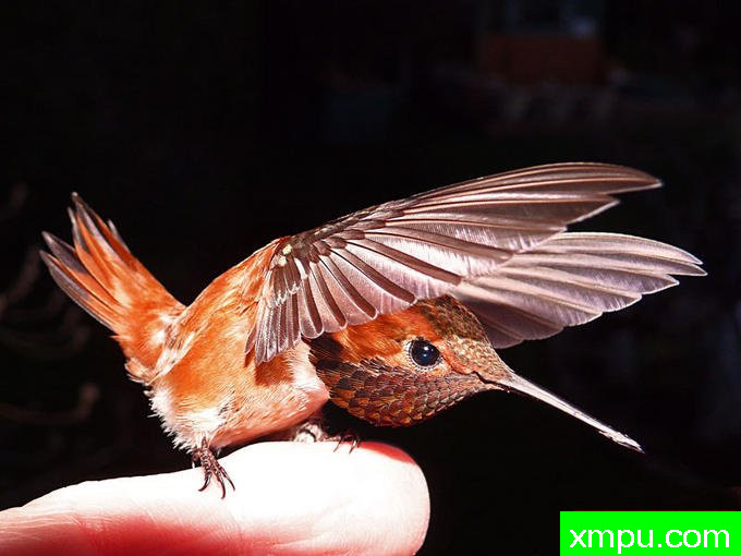 公富战士！---著名摄影师：珍妮李显能摄影