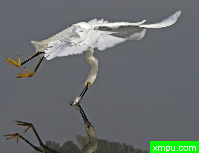 刚猛的Catch ---著名摄影师：TMJ摄影[美国]