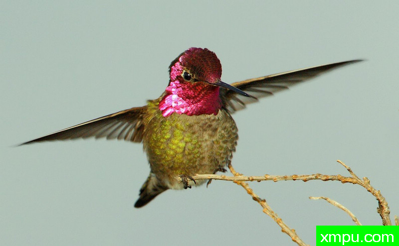 炫耀---著名摄影师：TMJ摄影[美国]