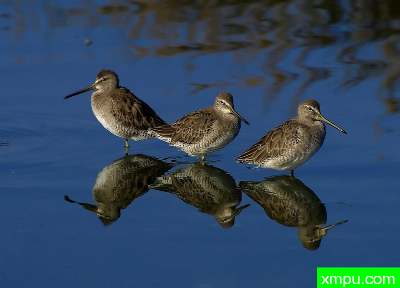 我们是一家人 ---著名摄影师：TMJ摄影[美国]