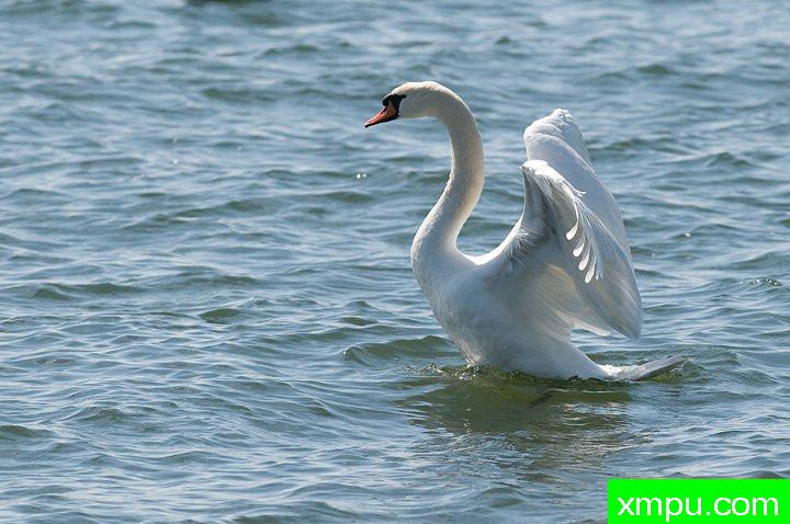 优雅[芬兰]--摄影师：李玛诺卡斯特罗诺沃摄影[意大利]